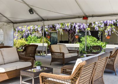 purple flowers and brown couches outside the facility