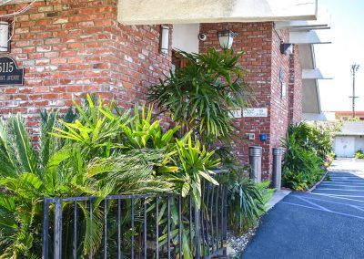 greenery plants from the entrance door