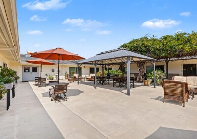 Relaxing chairs with shade and lush green trees and plants